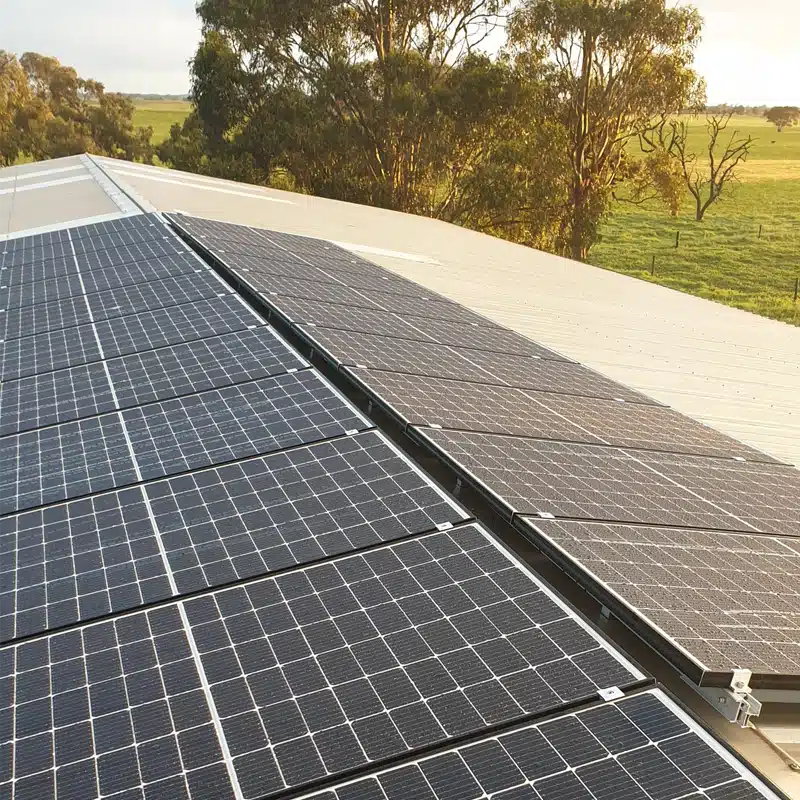 Solar panels installed by SunEnergy